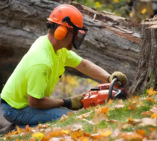 tree services Yorktown Heights